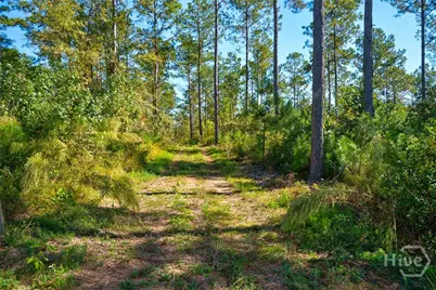 1 Bridges, Carlton, GA 30627 - Photo 20