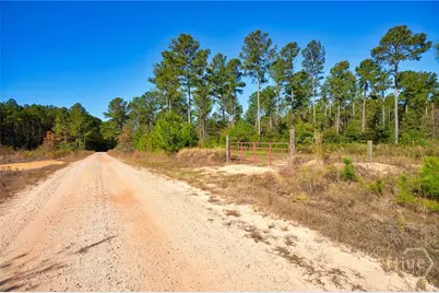1 Bridges, Carlton, GA 30627 - Photo 2