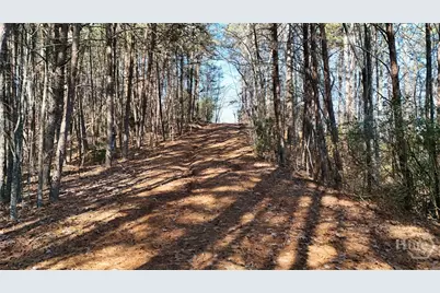 0 Gold Valley Road, Sautee Nacoochee, GA 30571 - Photo 4