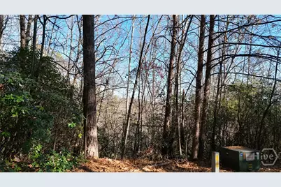 0 Gold Valley Road, Sautee Nacoochee, GA 30571 - Photo 2