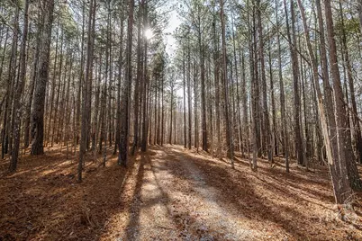1115 Black Ike Road, Watkinsville, GA 30677 - Photo 46
