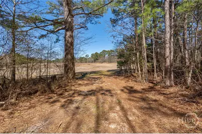 0 Kent Rock Road, Loganville, GA 30052 - Photo 16