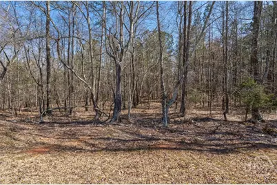 0 Kent Rock Road, Loganville, GA 30052 - Photo 12