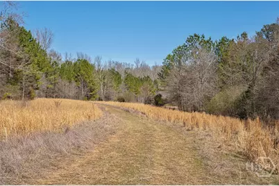 0 Kent Rock Road, Loganville, GA 30052 - Photo 14
