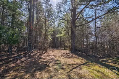 304 Kent Rock Road #Tract 3, Loganville, GA 30052 - Photo 10