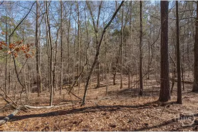 348 Kent Rock Road, Loganville, GA 30052 - Photo 4