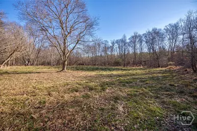 0 Lower Harmony, Eatonton, GA 31024 - Photo 32
