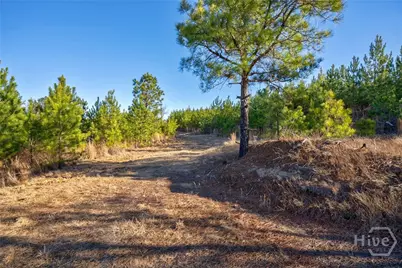 0 Lower Harmony, Eatonton, GA 31024 - Photo 26