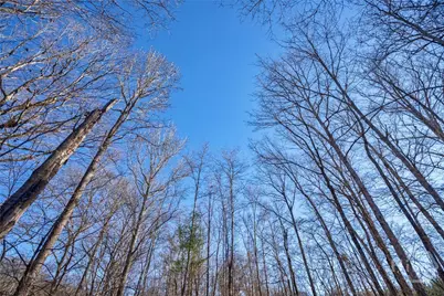 0 Lower Harmony, Eatonton, GA 31024 - Photo 28