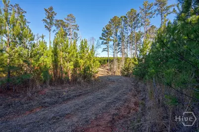 0 Lower Harmony, Eatonton, GA 31024 - Photo 10