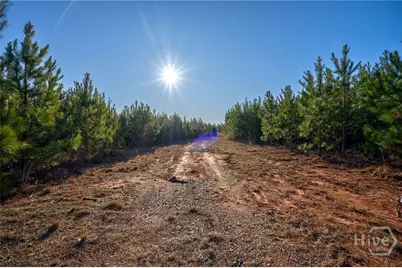 0 Lower Harmony, Eatonton, GA 31024 - Photo 8