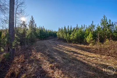 0 Lower Harmony, Eatonton, GA 31024 - Photo 12
