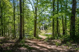 271 Canyon Ferry Wy, Hoschton, GA 30548 - Photo 54