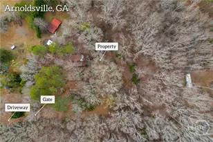 20 J O Crawford Ln, Arnoldsville, GA 30619 - Photo 10