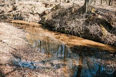 0 Lovers Lane, Stephens, GA 30667 - Photo 4