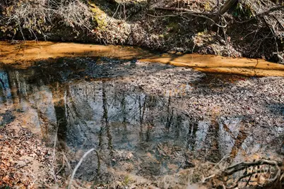 0 Lovers Lane, Stephens, GA 30667 - Photo 10