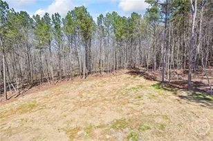 1229 Morgans Run, Monroe, GA 30656 - Photo 44