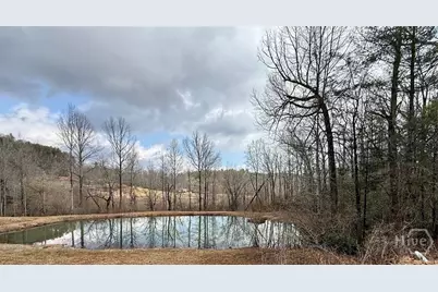 1365 Skylake Road, Sautee Nacoochee, GA 30571 - Photo 46