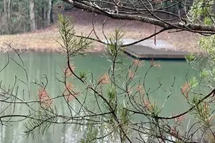 1365 Sky Lake Rd, Sautee Nacoochee, GA 30571 - Photo 48