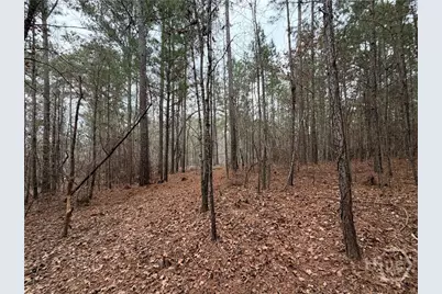 1700 Northwoods Drive, Greensboro, GA 30642 - Photo 2