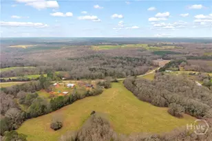 787 Parham Town Rd, Bowman, GA 30624 - Photo 42