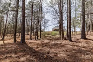 12 Black Thorn Rd, Colbert, GA 30628 - Photo 62