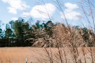 2242 Crawfordville Rd, Rayle, GA 30660 - Photo 58