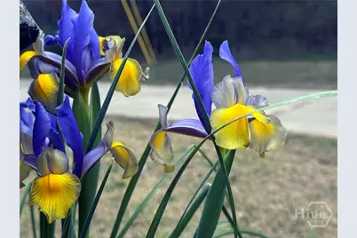 1104 Farm Road, Colbert, GA 30628 - Photo 30
