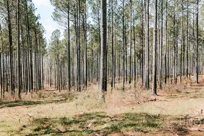 0 Washington Road, Lexington, GA 30648 - Photo 22