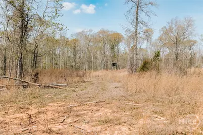 0 Washington Road, Lexington, GA 30648 - Photo 28