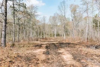0 Washington Road, Lexington, GA 30648 - Photo 16