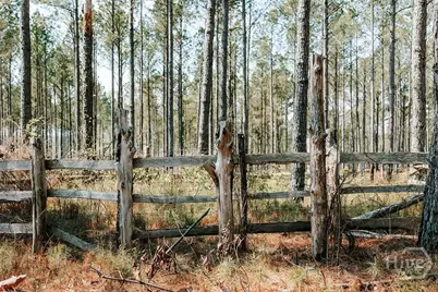 0 Washington Road, Lexington, GA 30648 - Photo 6