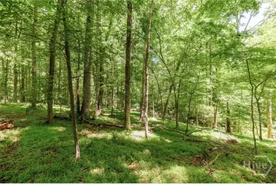145 Pendleton Drive, Athens, GA 30606 - Photo 48