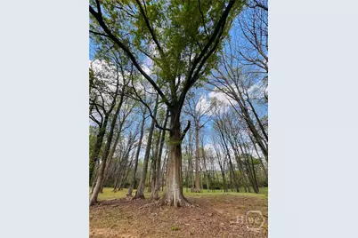 3386 Chandler Road, Good Hope, GA 30641 - Photo 72