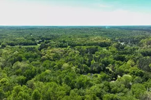 71 Staghorn Trail, Nicholson, GA 30565 - Photo 26