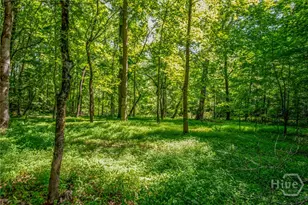 272 0 Doster Rd, Madison, GA 30650 - Photo 44
