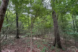 1020 Neal Rd, Commerce, GA 30530 - Photo 14