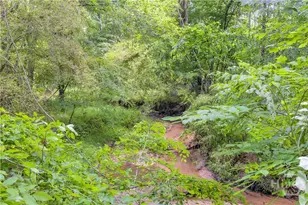 335 Elizabeth Ct, Colbert, GA 30628 - Photo 30