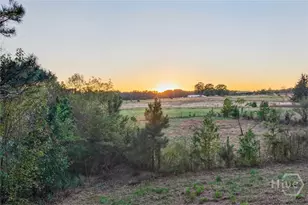 134 Mitchell Farm Rd, Colbert, GA 30628 - Photo 46