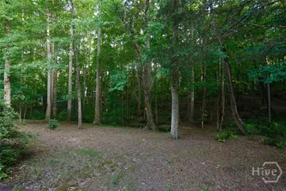 1251 Dials Plantation, Statham, GA 30666 - Photo 60