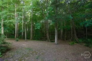 1251 Dials Plantation, Statham, GA 30666 - Photo 60