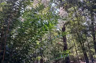 7790 Jefferson Rd, Athens, GA 30607 - Photo 48