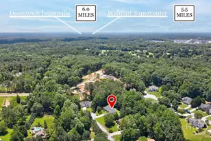 2958 Mary Alice Trail, Loganville, GA 30052 - Photo 8