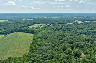 361 Meyer Farm Rd, Winterville, GA 30683 - Photo 48