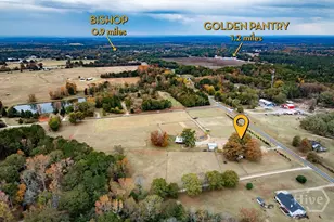 1412 Old Bishop Rd, Bishop, GA 30621 - Photo 64