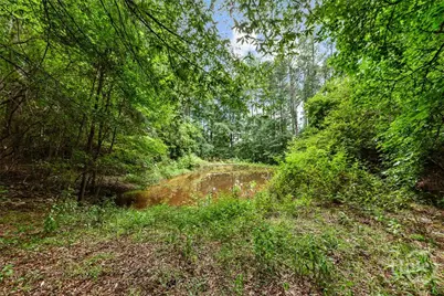 17 Pineforest Drive, Winterville, GA 30683 - Photo 30