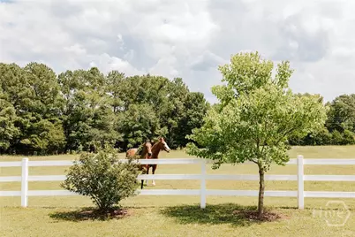 62 Coiles Grove Road, Colbert, GA 30628 - Photo 62