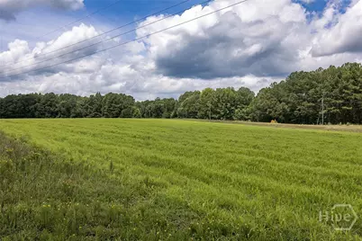 595 Millstone Church Road, Carlton, GA 30627 - Photo 6