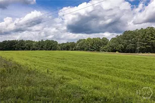 595 Millstone Church Rd, Carlton, GA 30627 - Photo 6