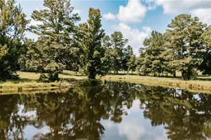 6 Burt Rd, Carlton, GA 30627 - Photo 48